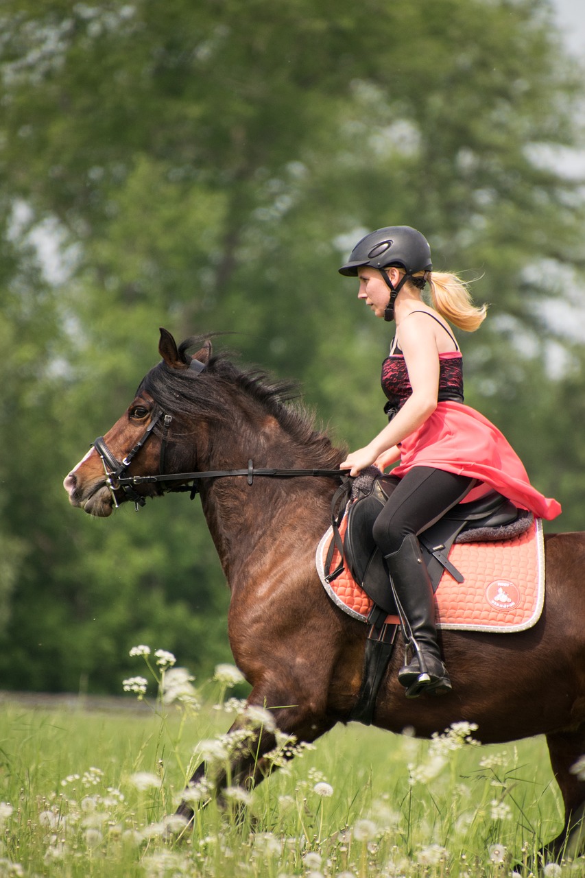 Pony girl training pic