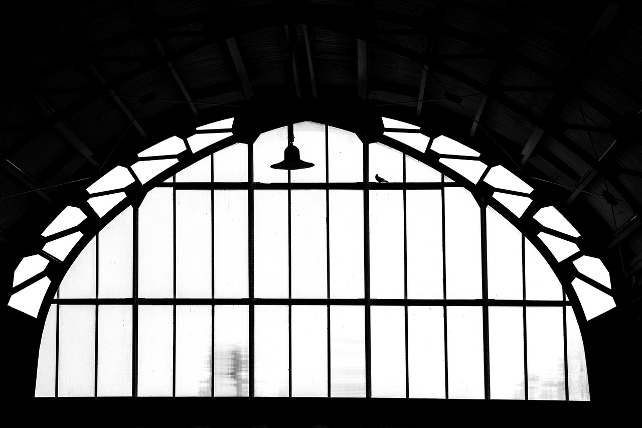 station,harlem,bird,free pictures, free photos, free images, royalty free, free illustrations, public domain