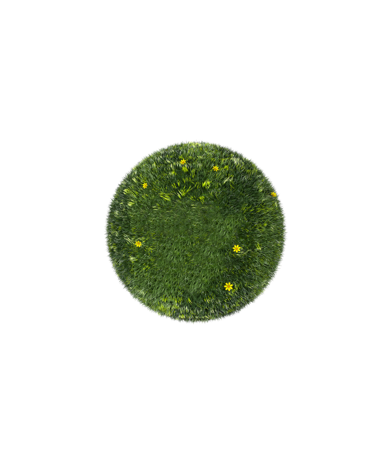 grass ball environment free photo