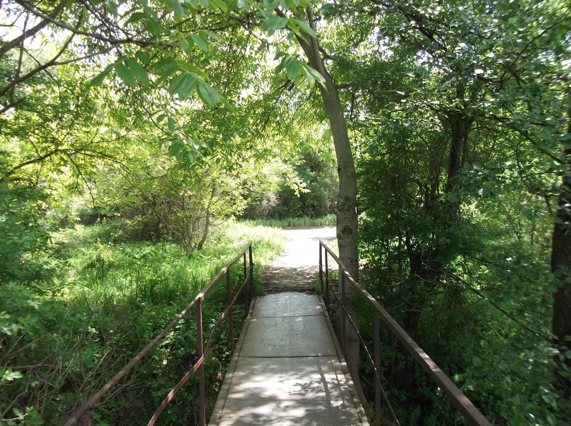 metal bridge old bridge nature free photo