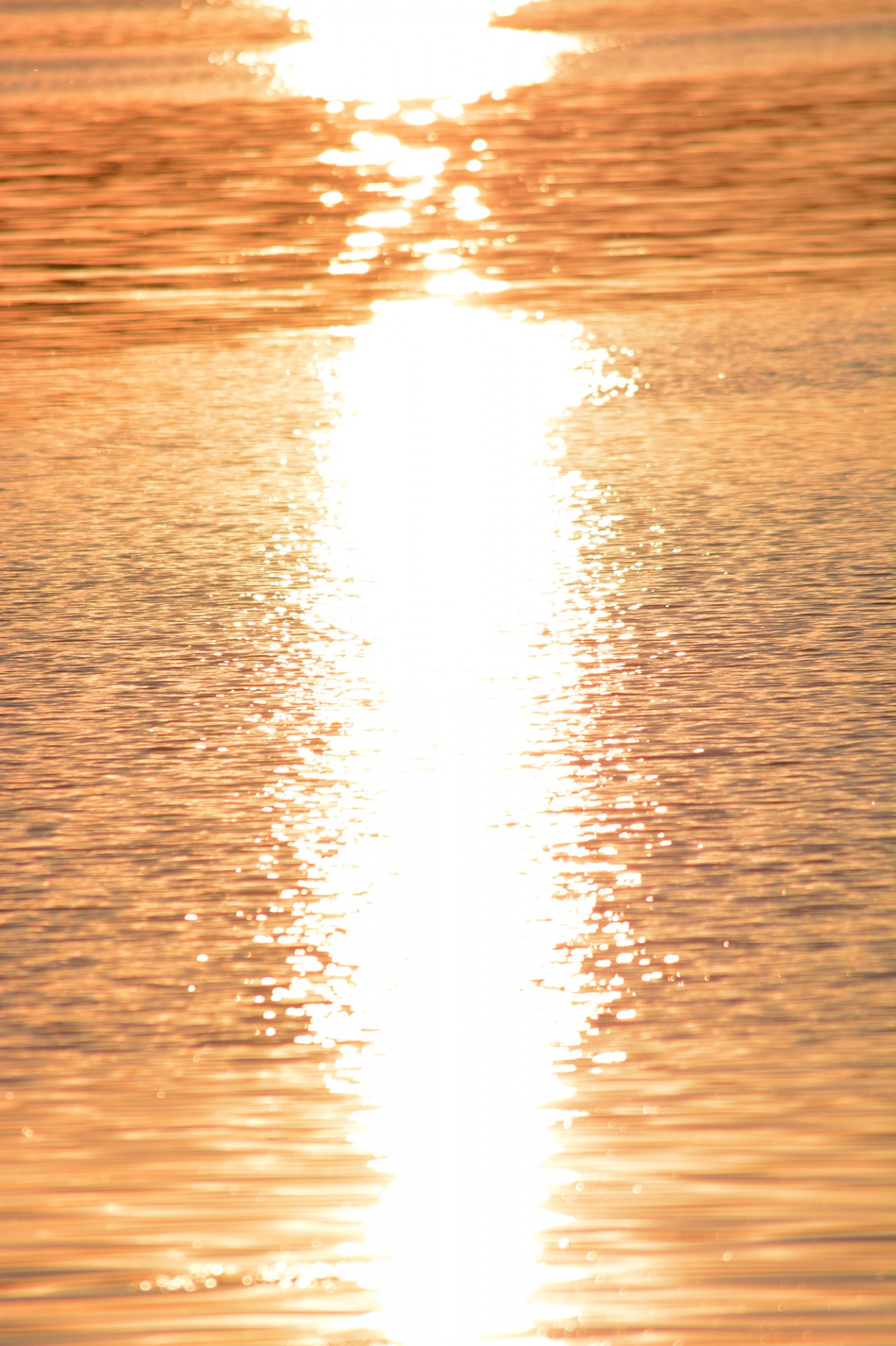 sunset sun water free photo
