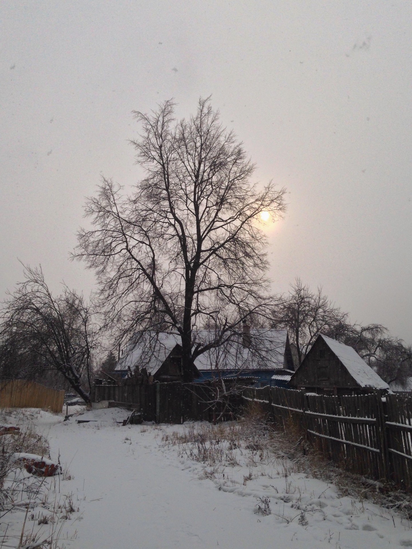 russian winter nature snow free photo