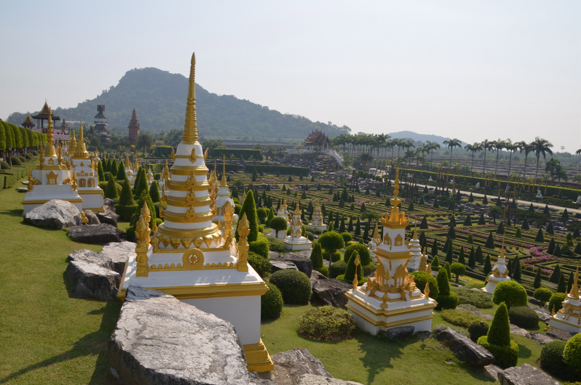 thailand park nature free photo