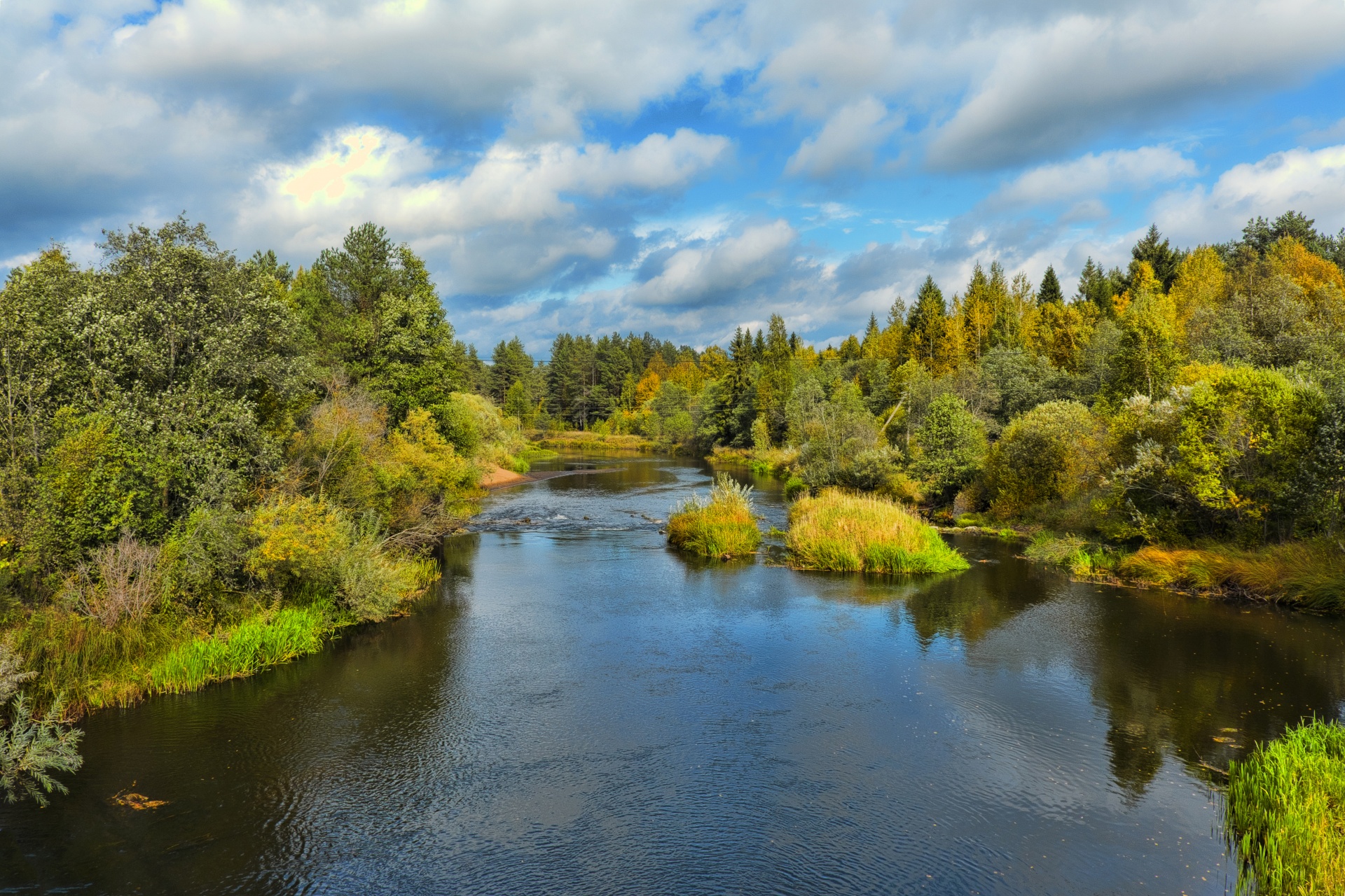 river autumn forest free photo