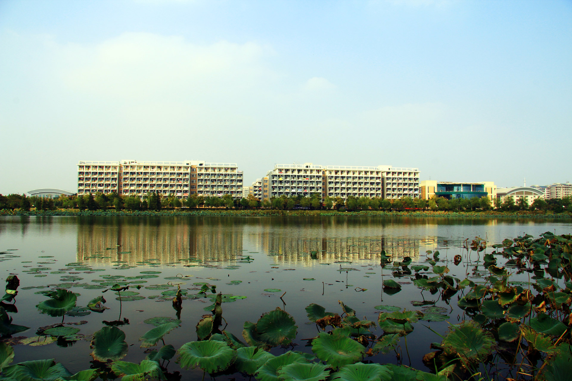 campus wuhan university free pictures free photo