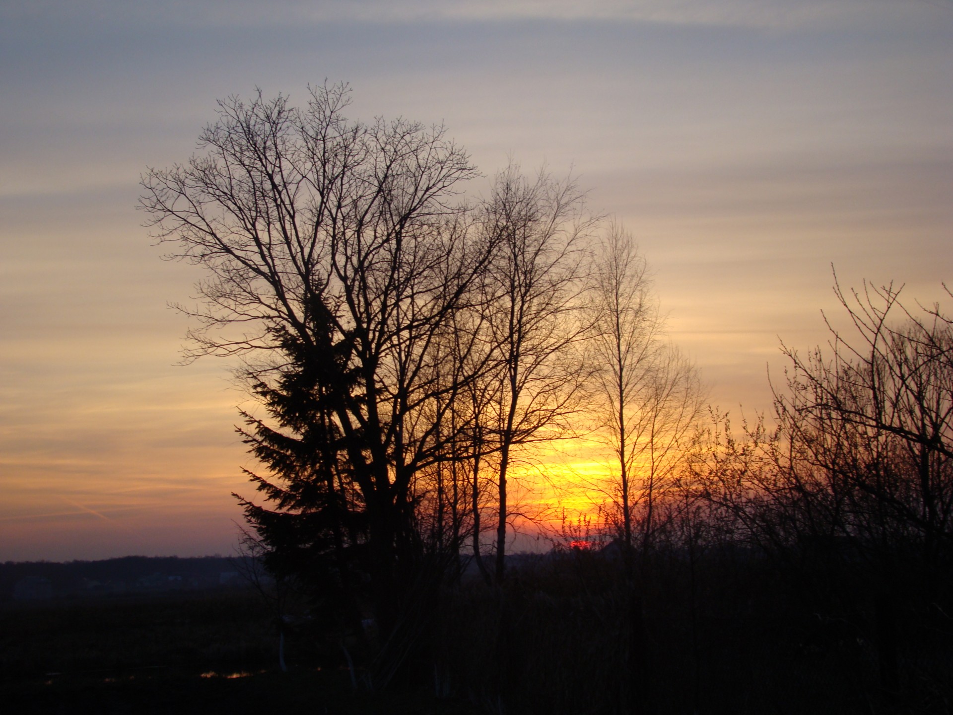 silhouette sunset landscape free photo