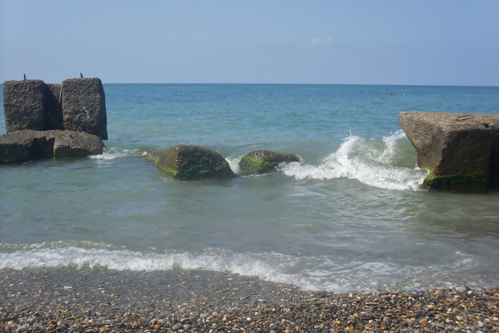 summer beach nature free photo