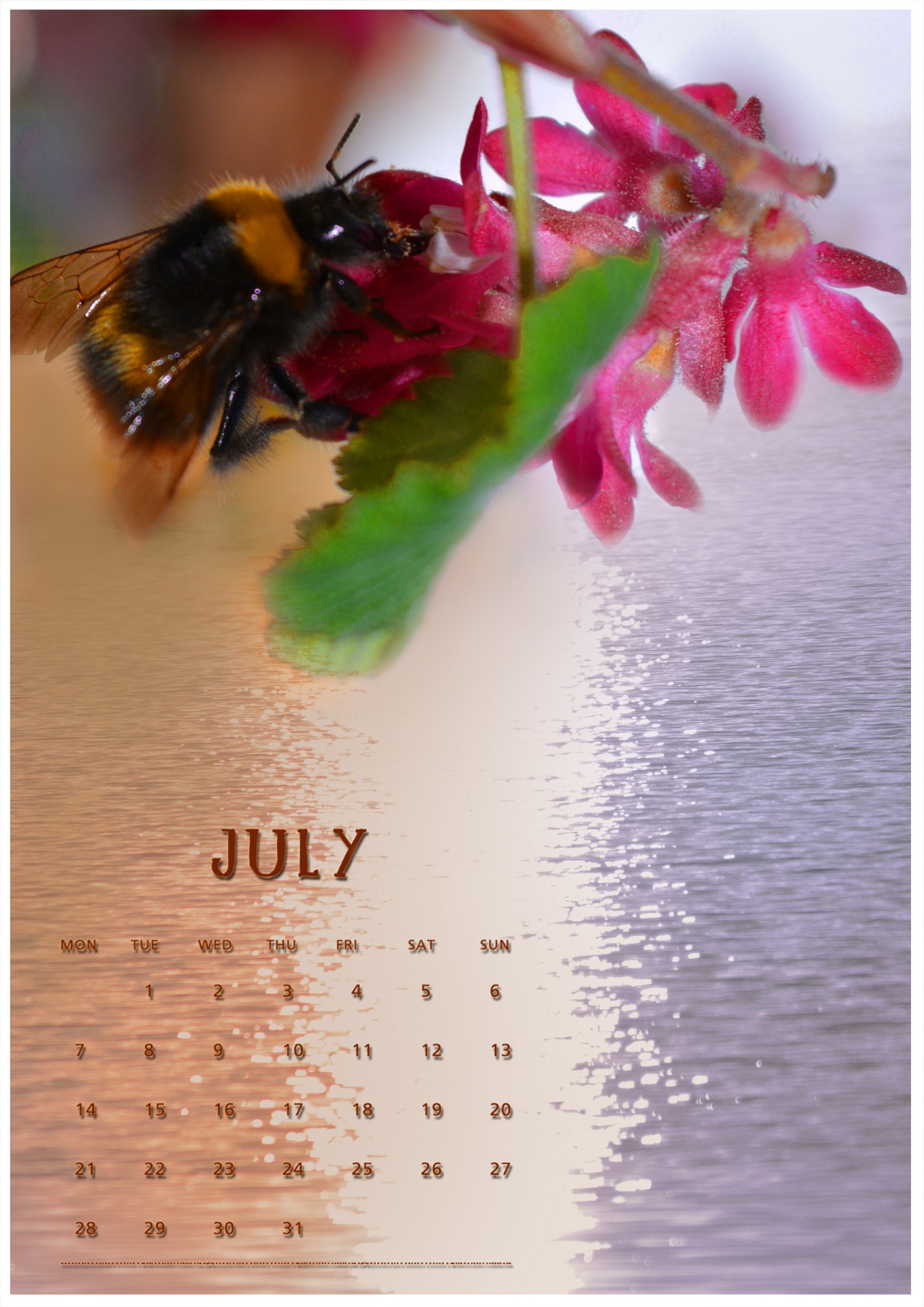 calendar july 2014 free photo