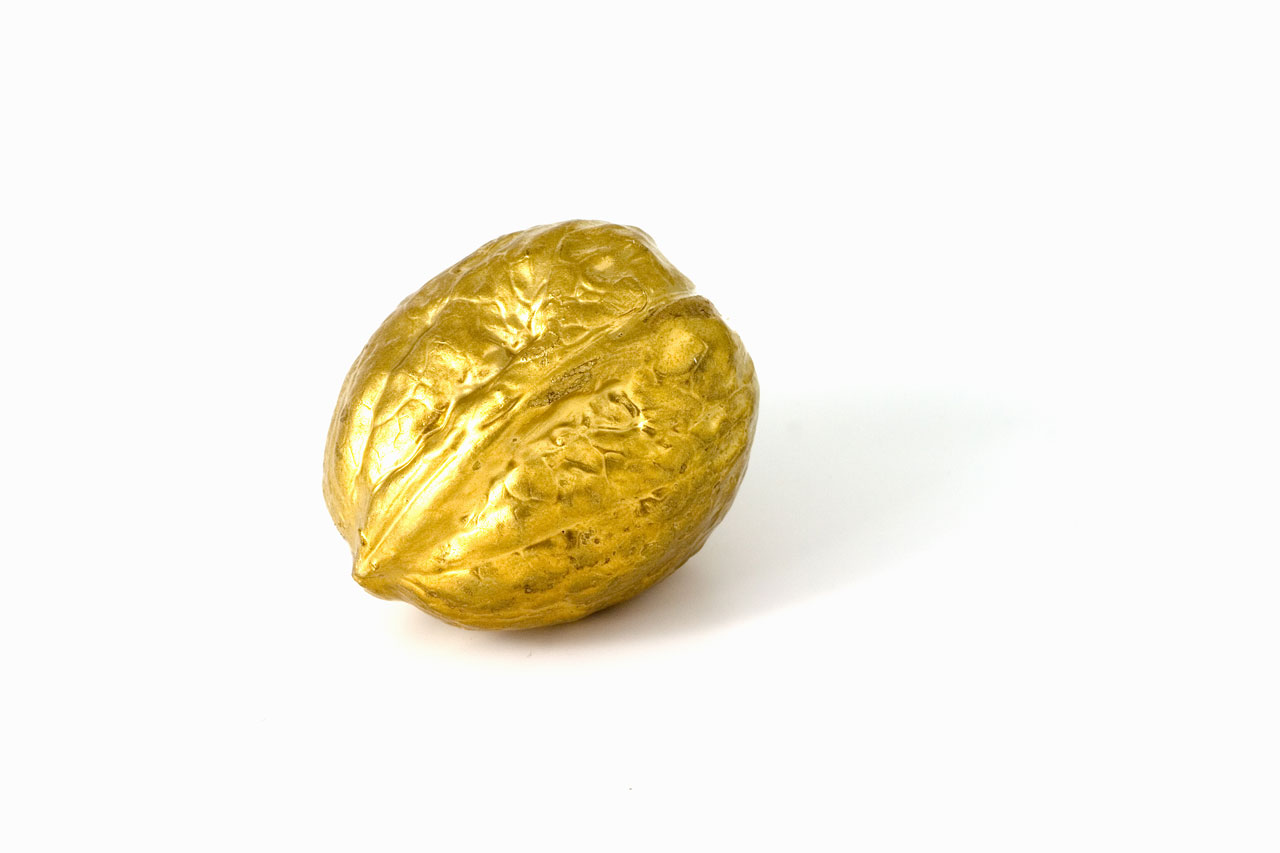 gold nut walnut free photo