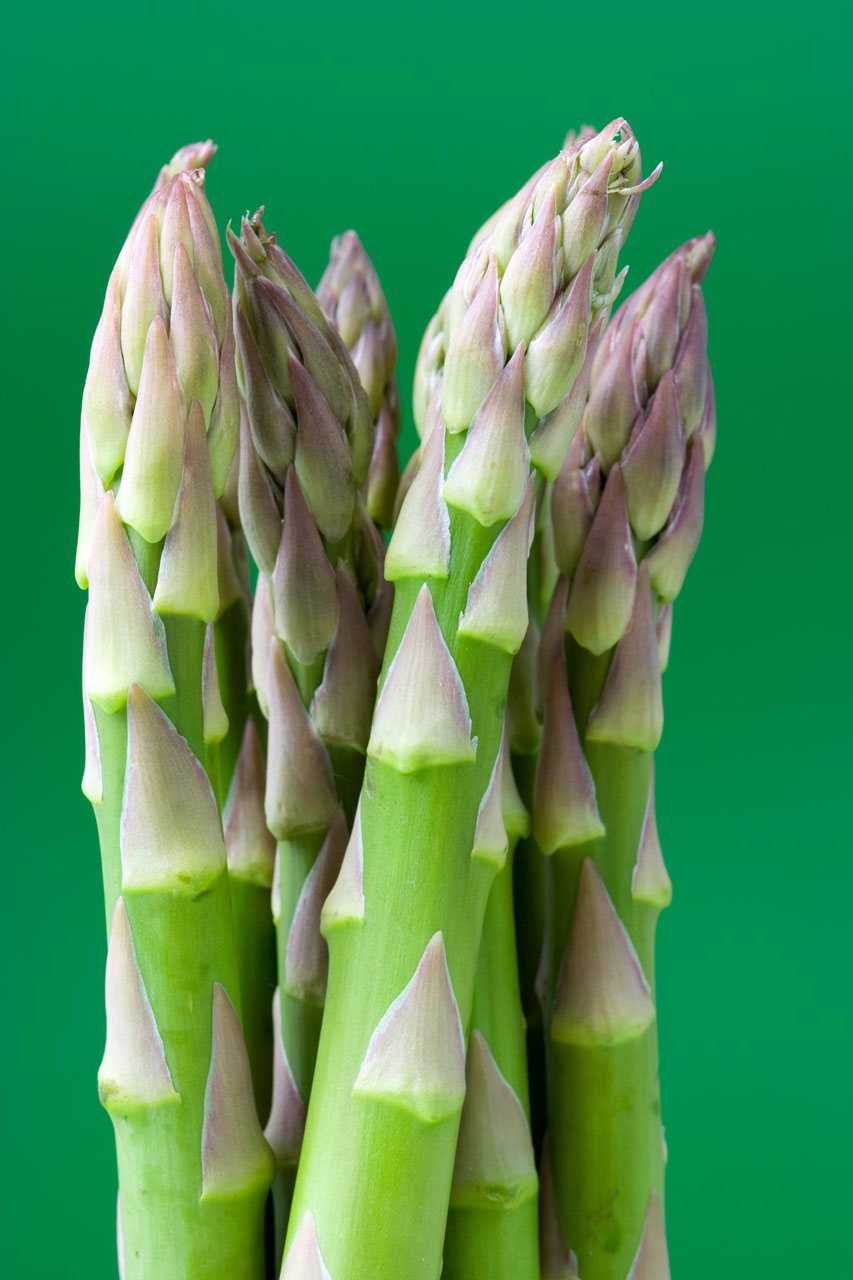 appetite asparagus food free photo