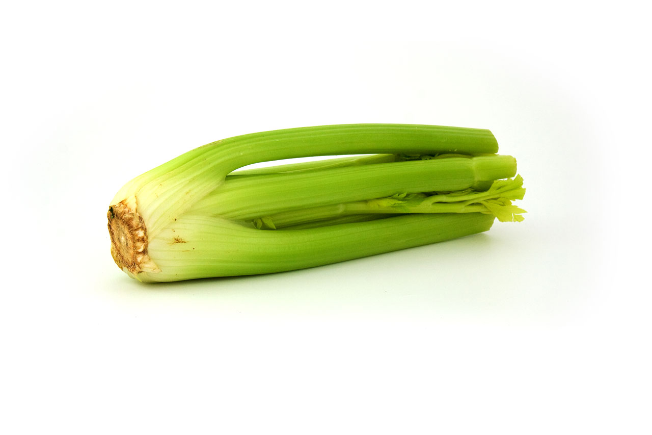 celery green greenery free photo