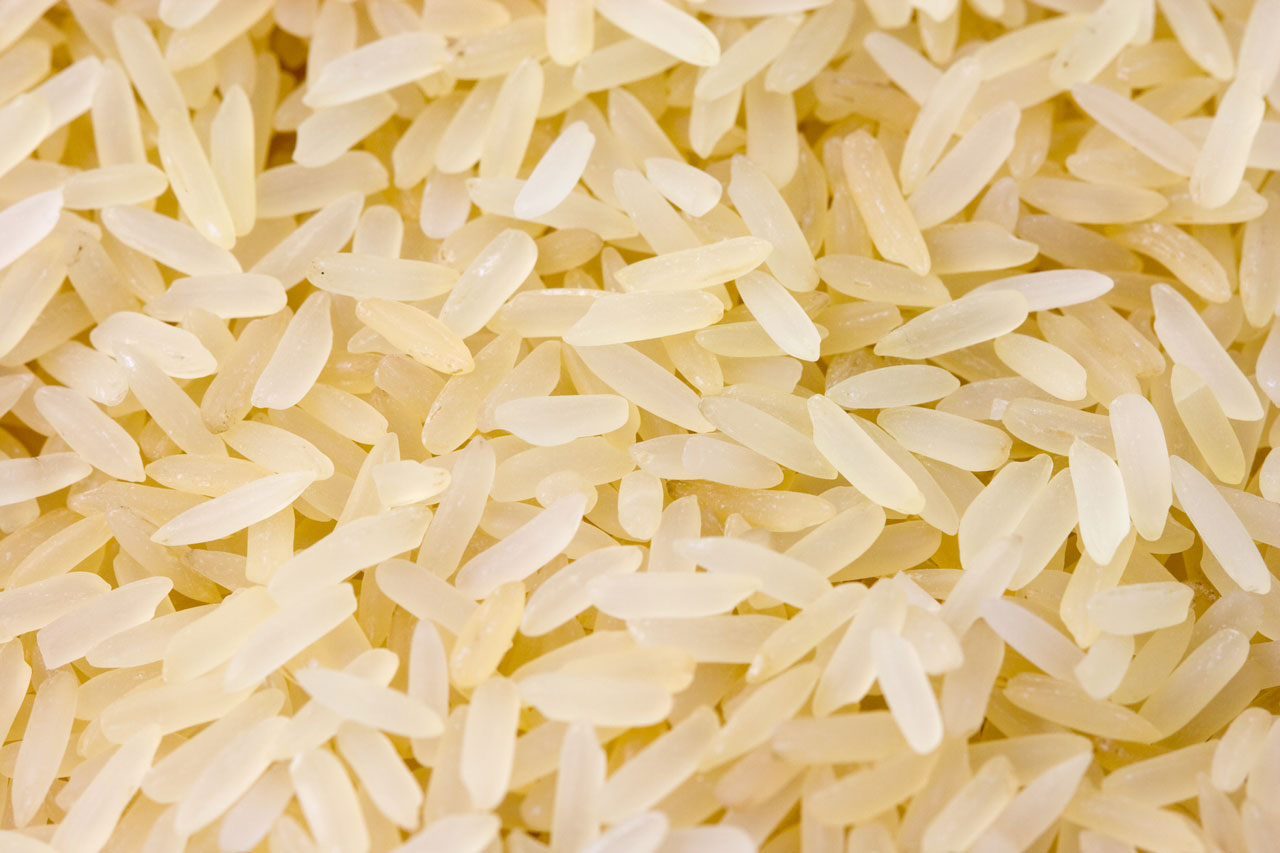 rice grain corn free photo