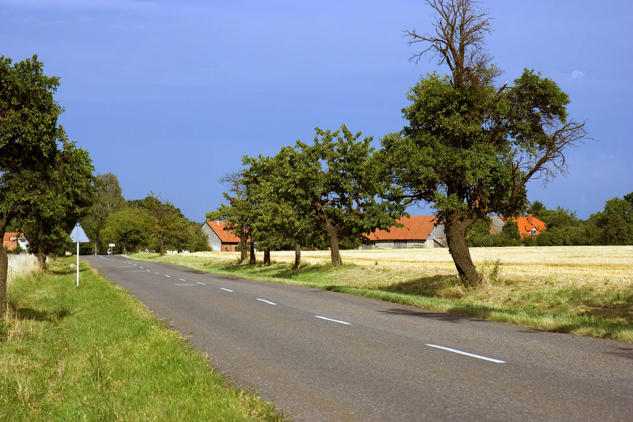 road way fields free photo