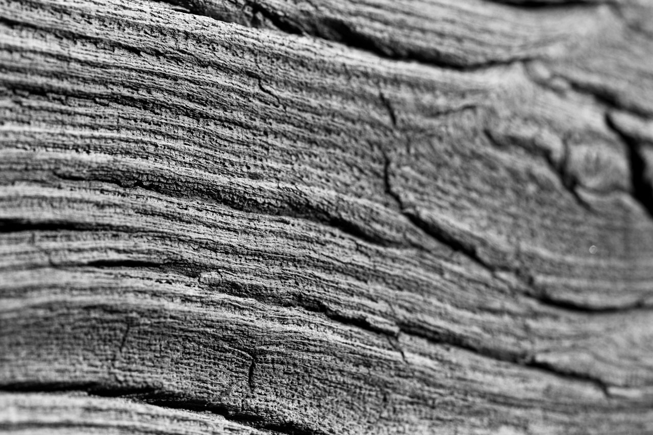 wood structure texture free photo
