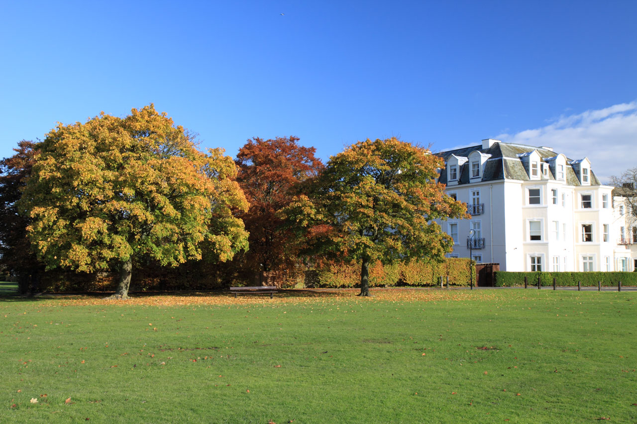 park autumn fall free photo