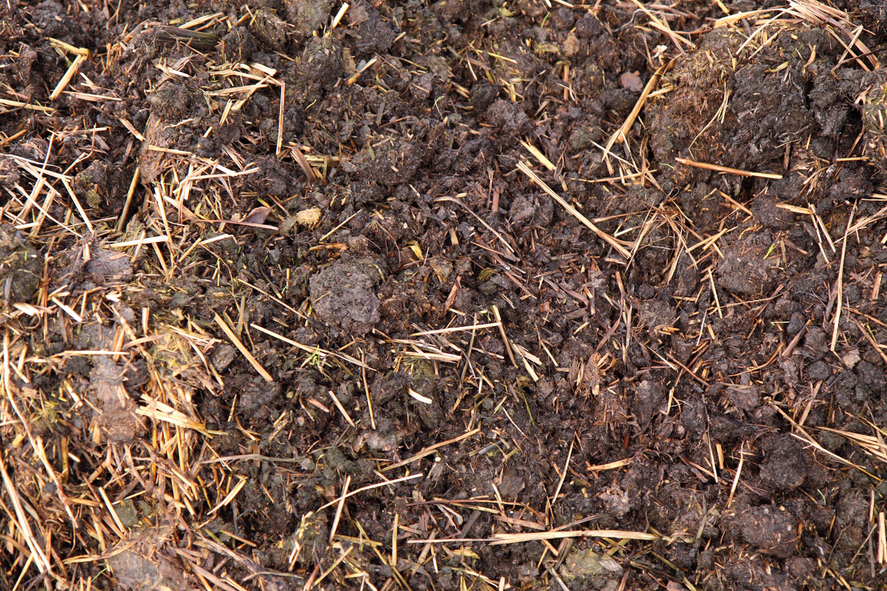 agricultural agriculture compost free photo