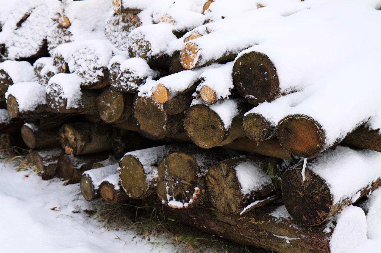 wood firewood snow free photo