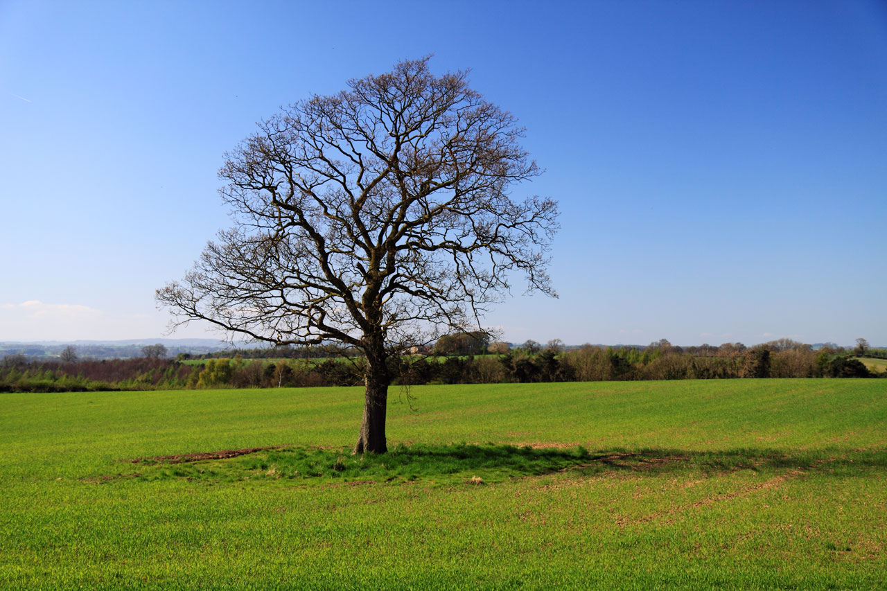 alone blue country free photo