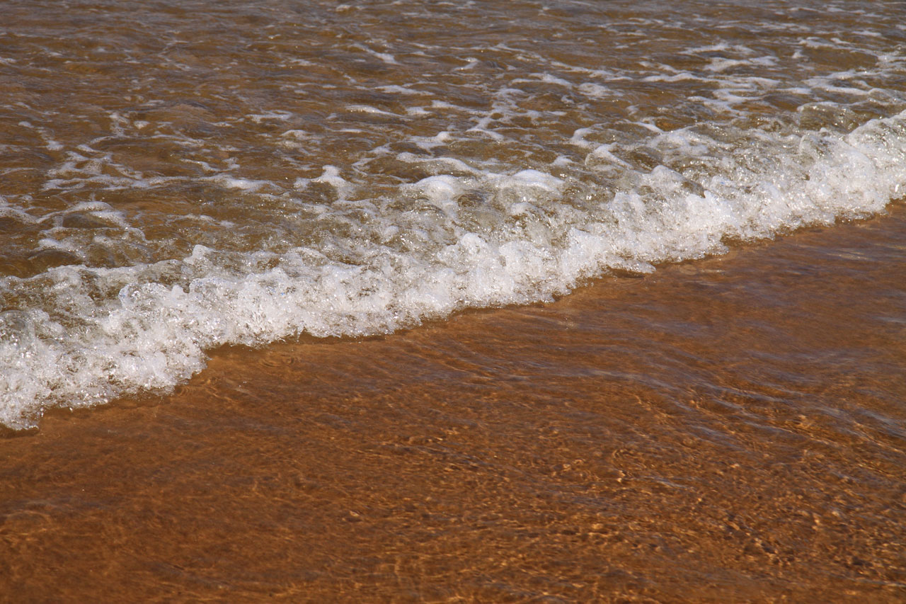 background beach coast free photo