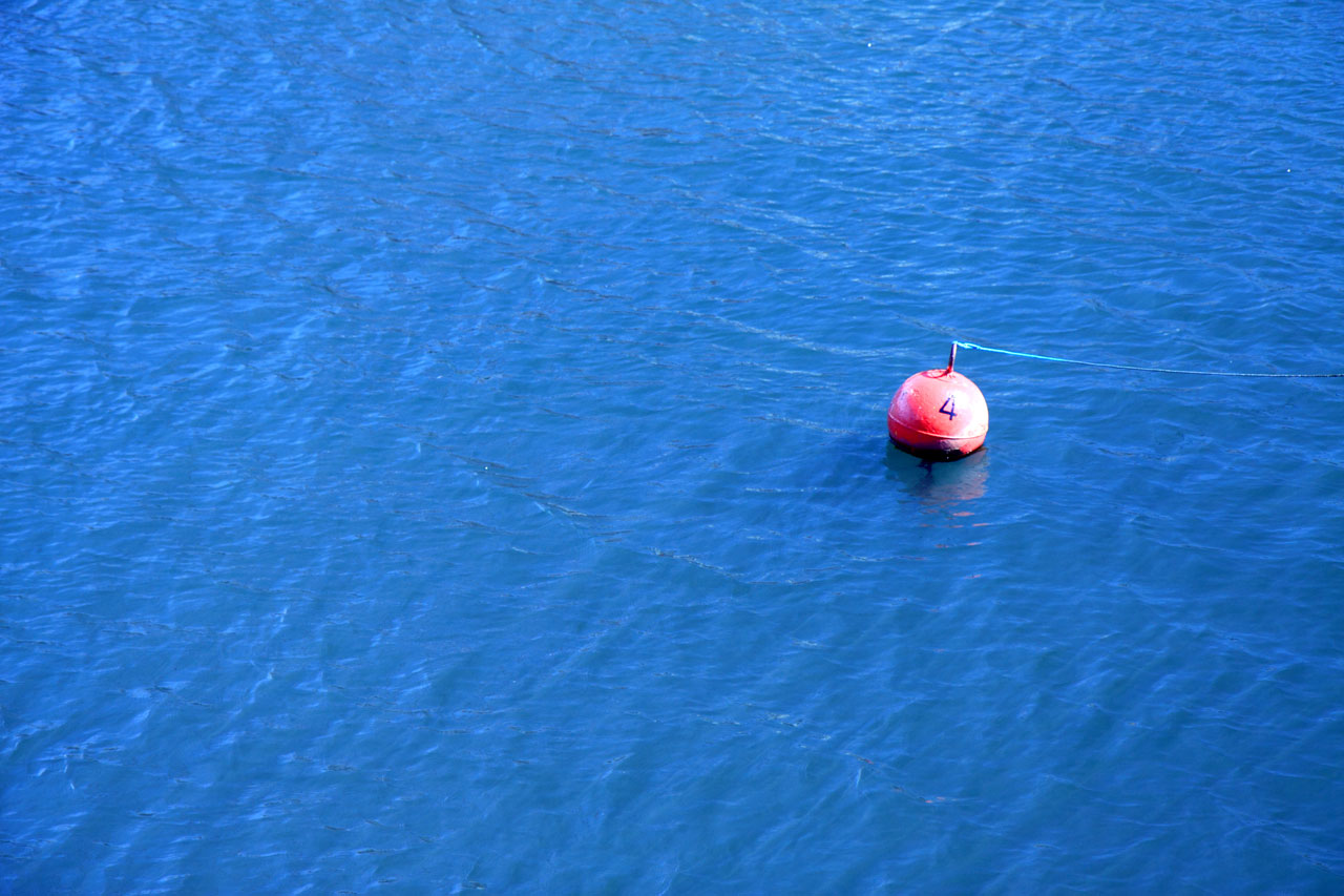 blue buoy float free photo