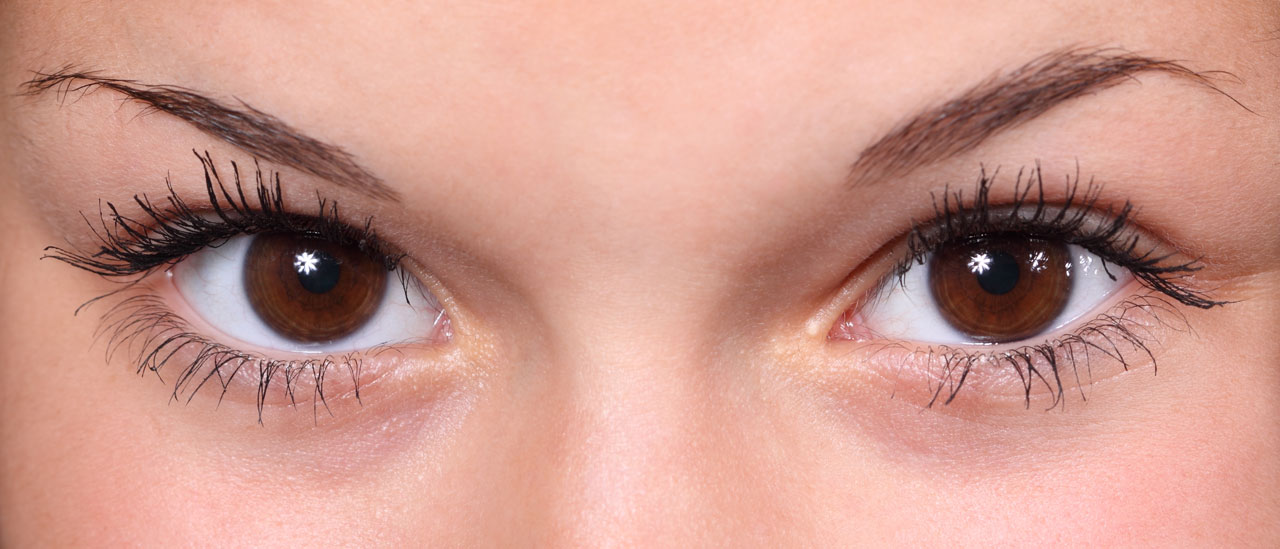 Download Free Photo Of Beautiful Closeup Eye Eyebrows Eyelashes