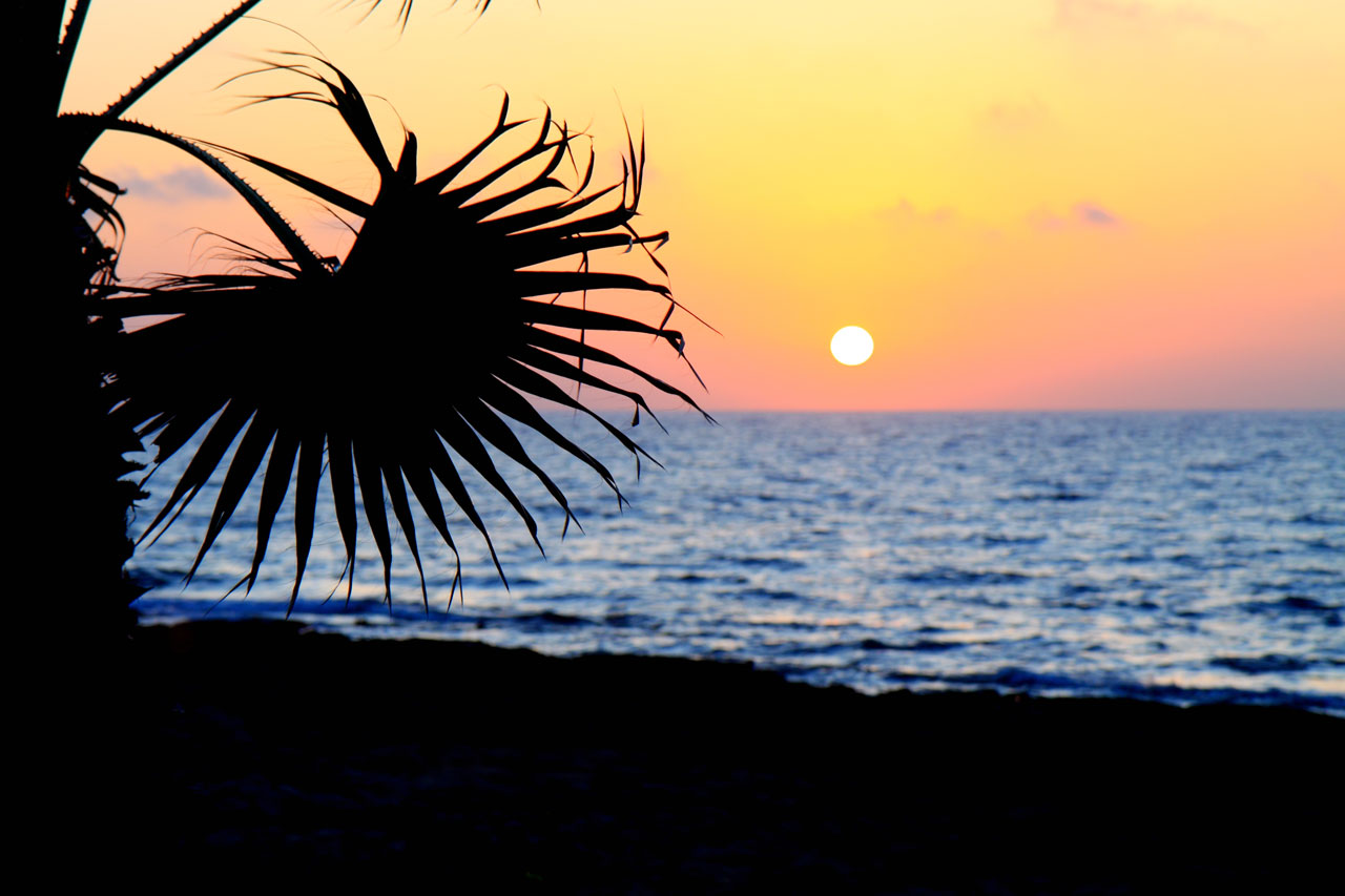 background beach beautiful free photo