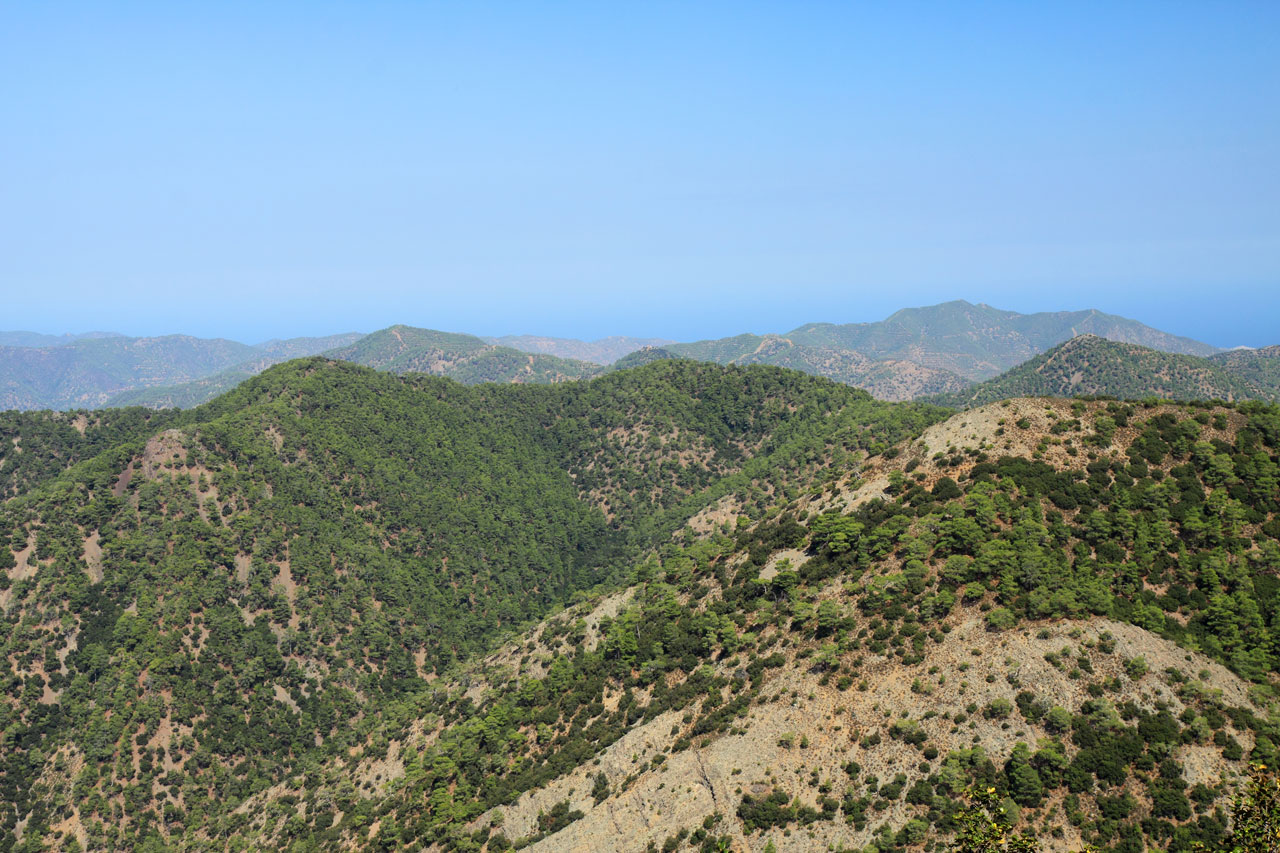 cyprus forest greek free photo