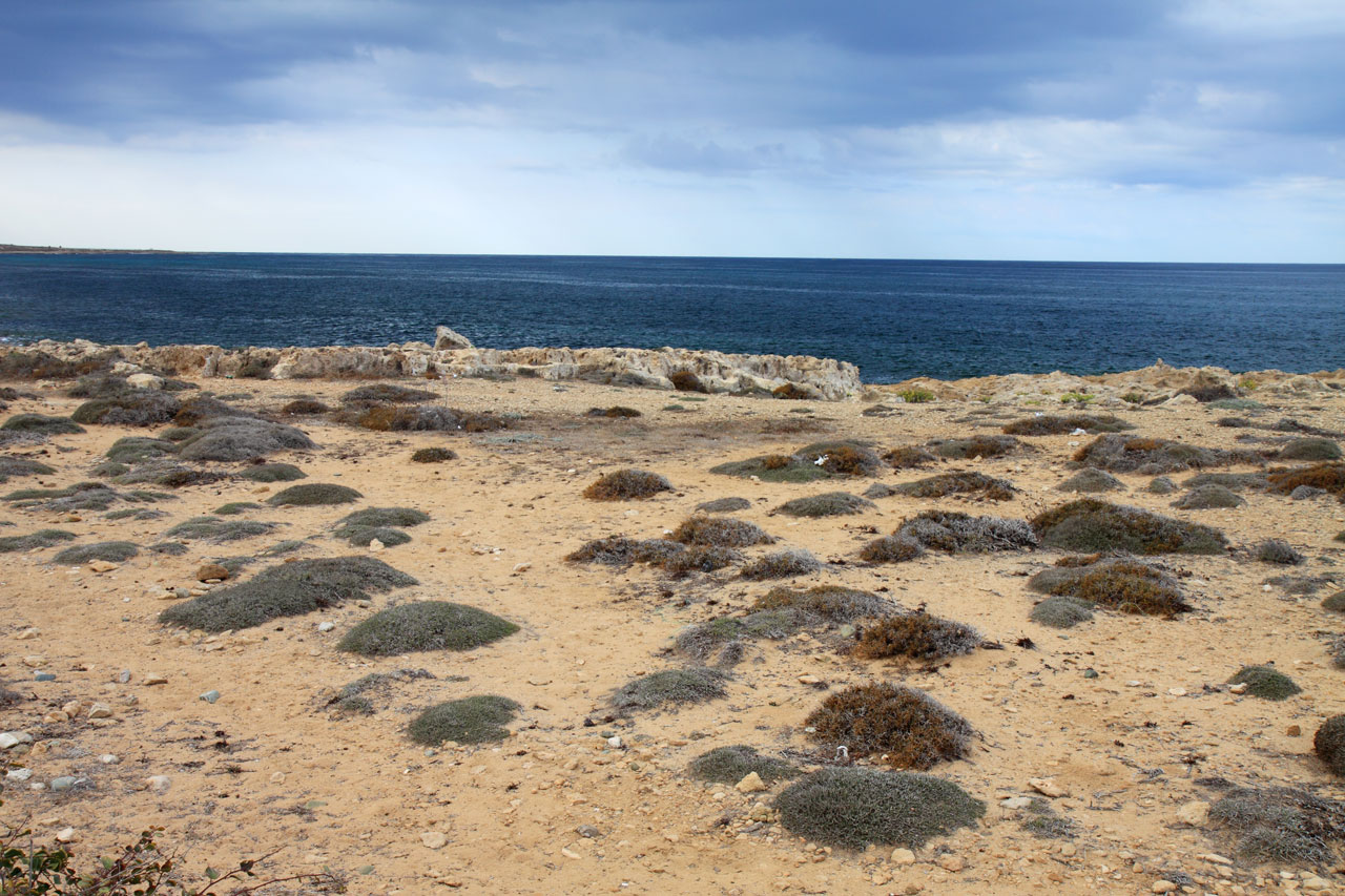 coast coastline horizon free photo