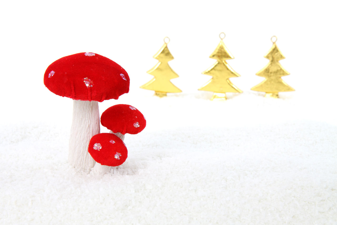 celebration christmas decoration free photo