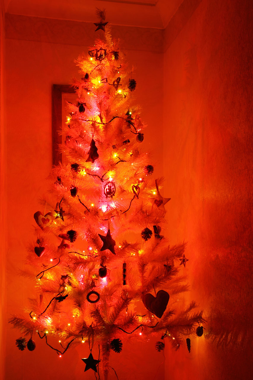 christmas color decoration free photo