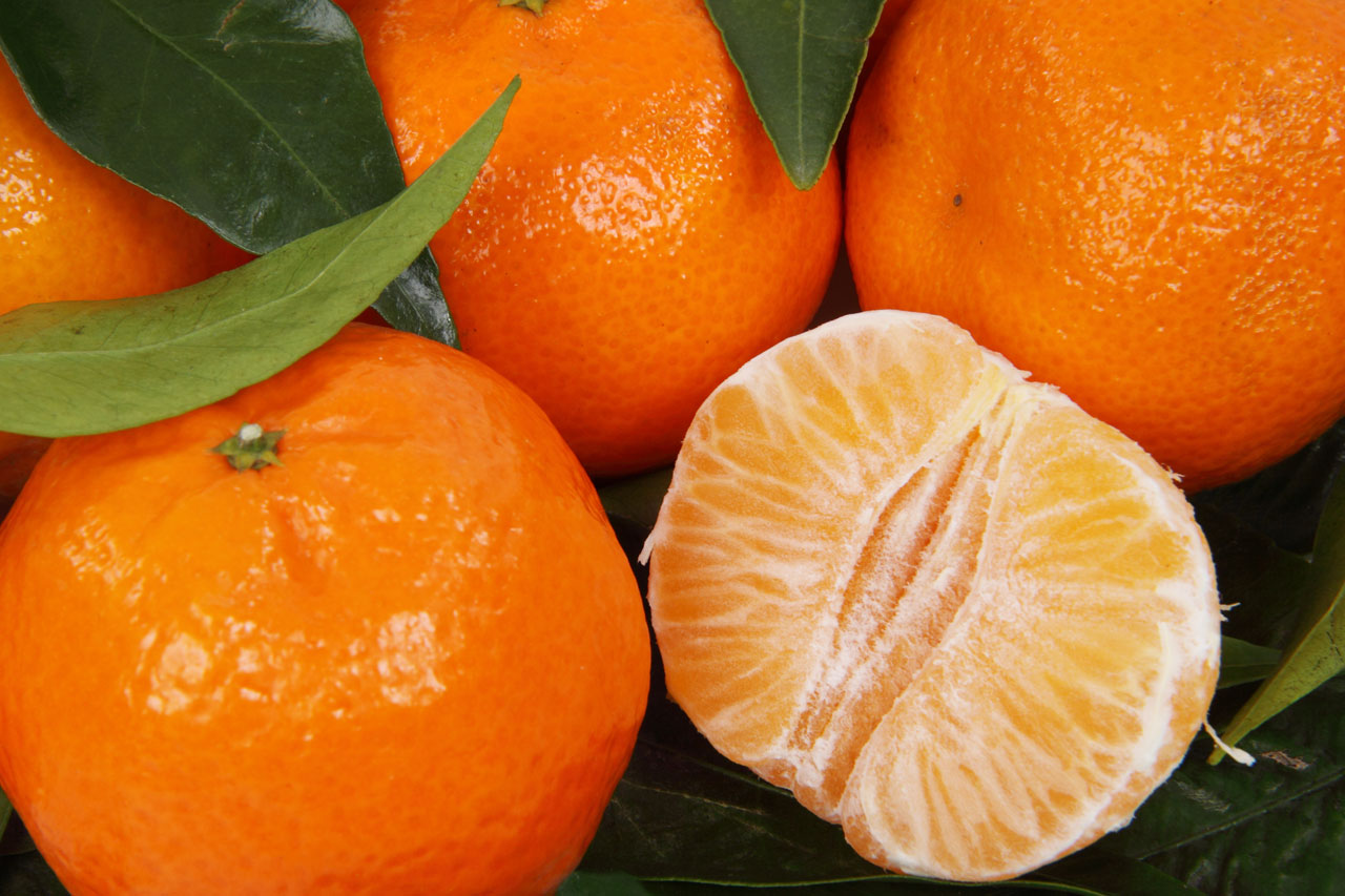 citrus clementine food free photo