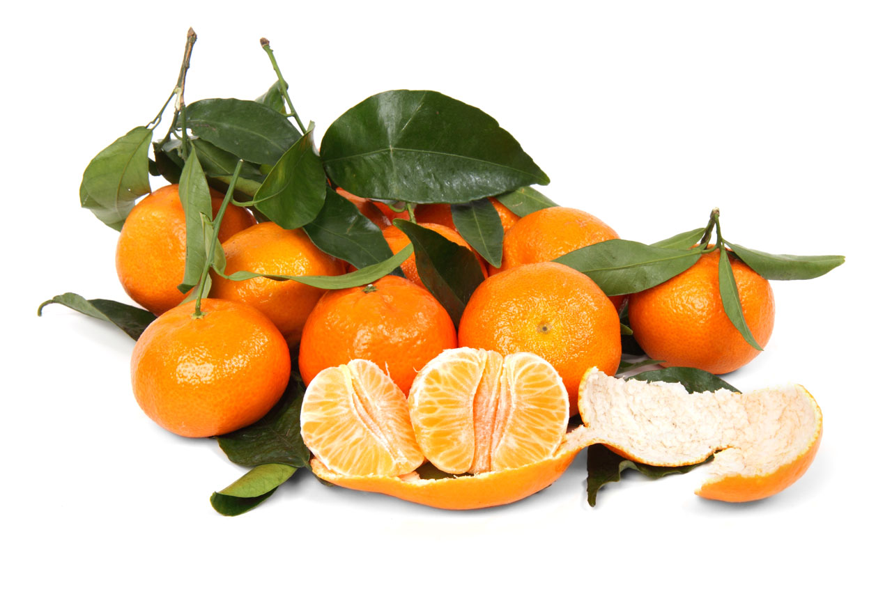 citrus clementine food free photo