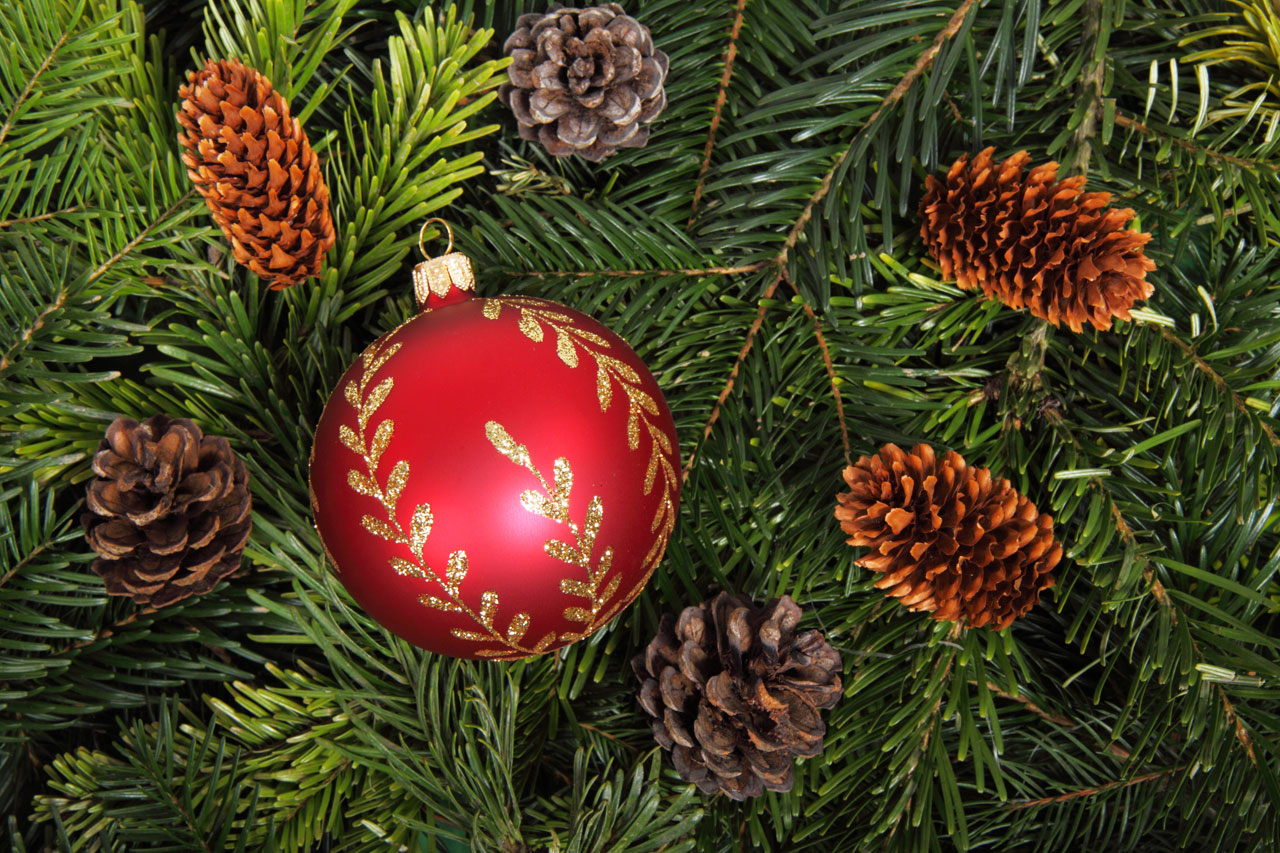 background ball bauble free photo