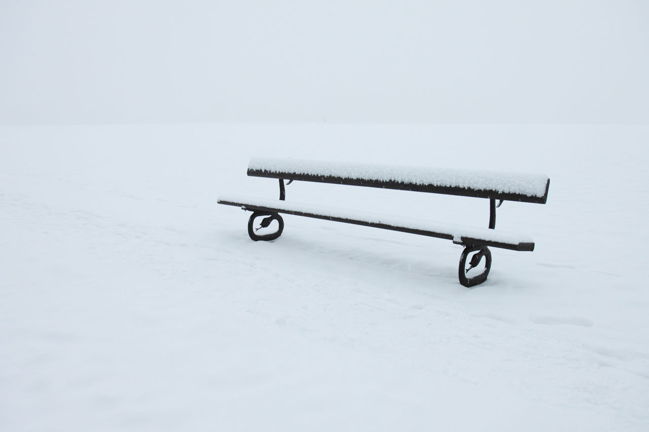 abandoned alone bench free photo