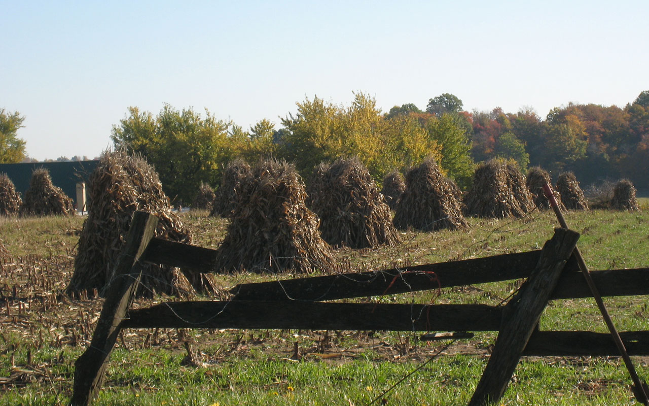country hay stack field free photo