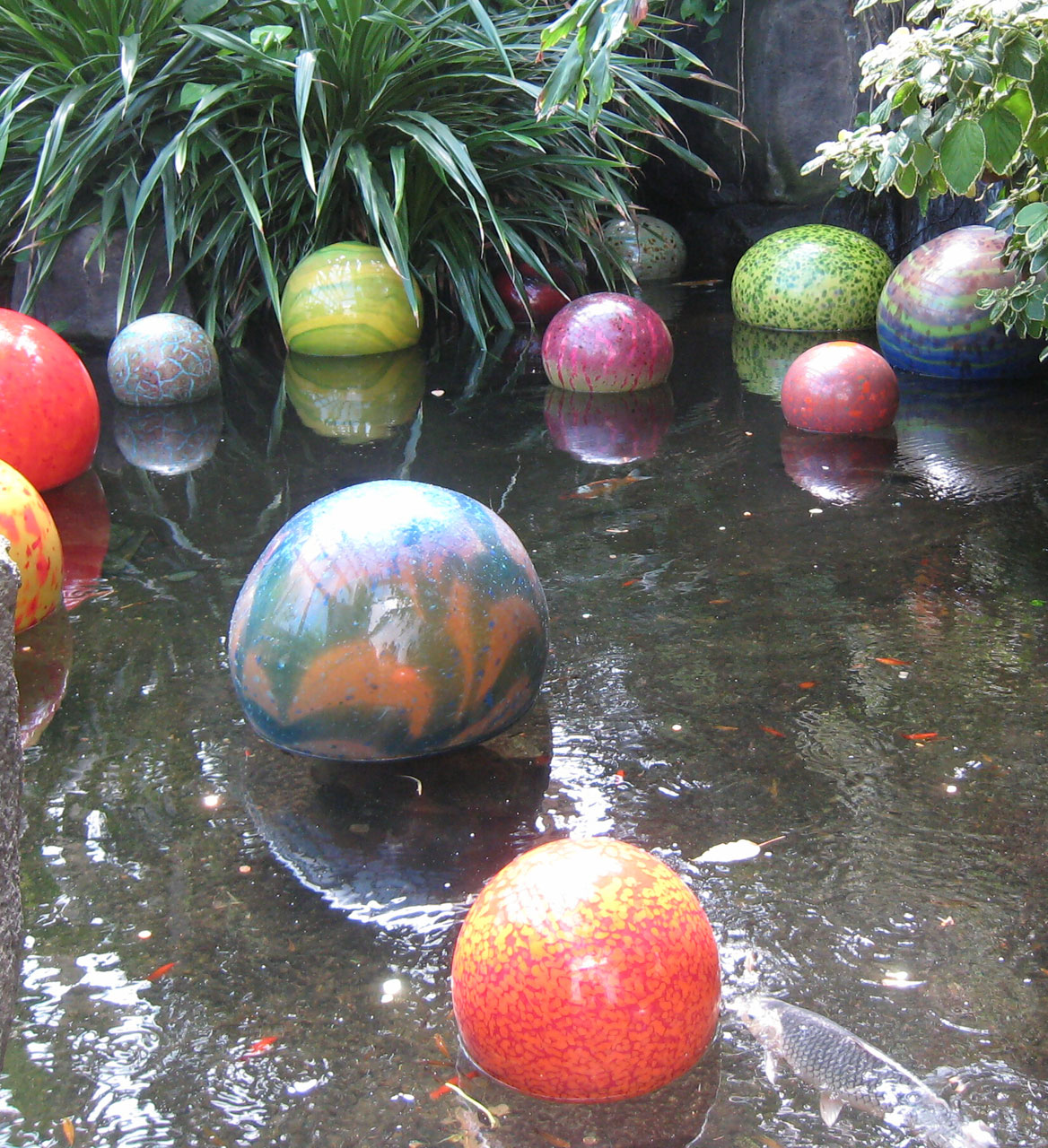 pond colorful floating balls free photo