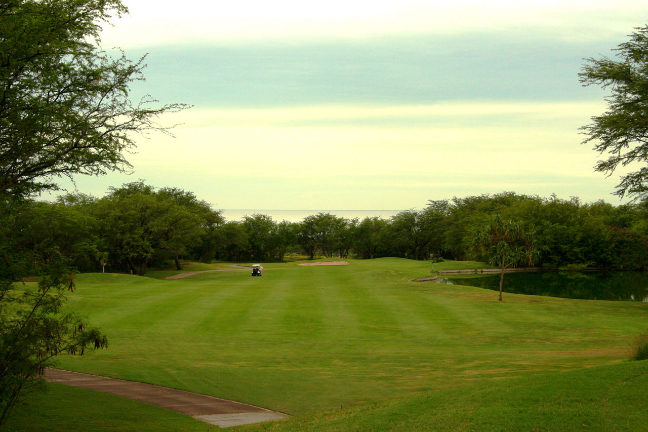 golf grass fairway free photo