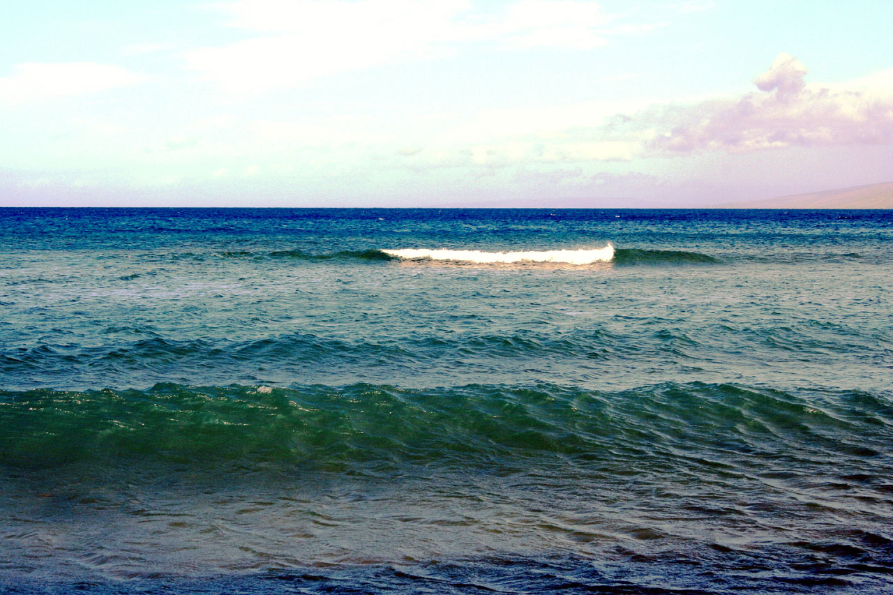 wave waves maui free photo
