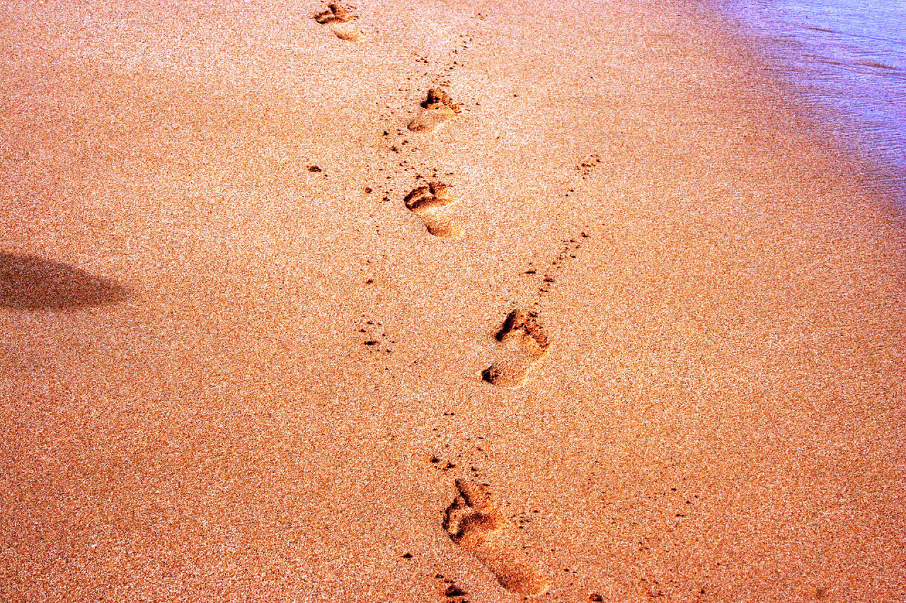 footprints beach footprint free photo