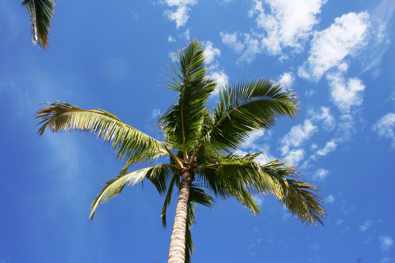 blue sky clouds free photo