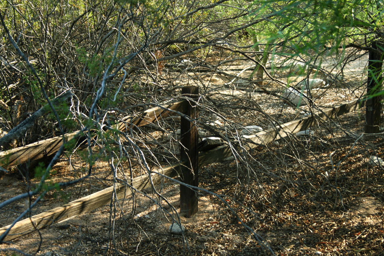 fence desert tucson free photo