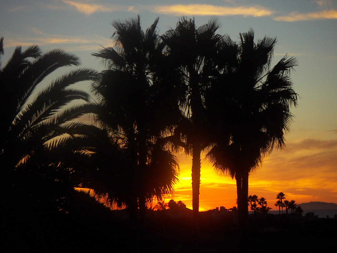 california pacific sunset free photo