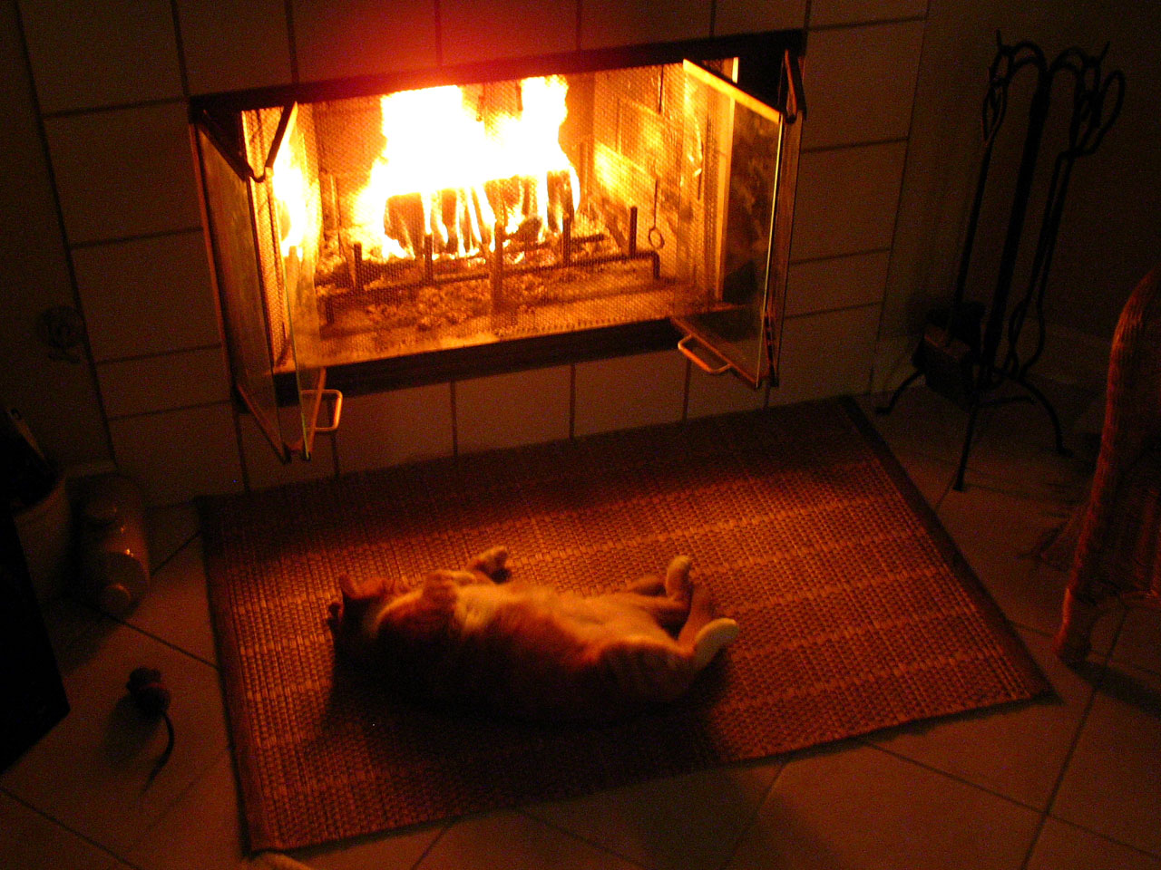 cat fireplace done with the mouse free photo