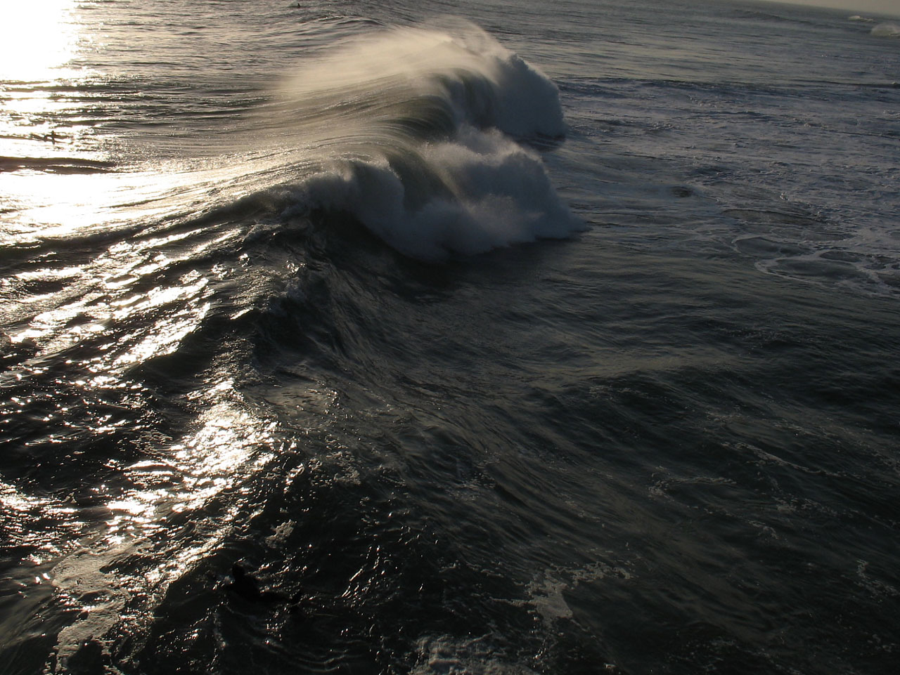 wave ocean nature free photo