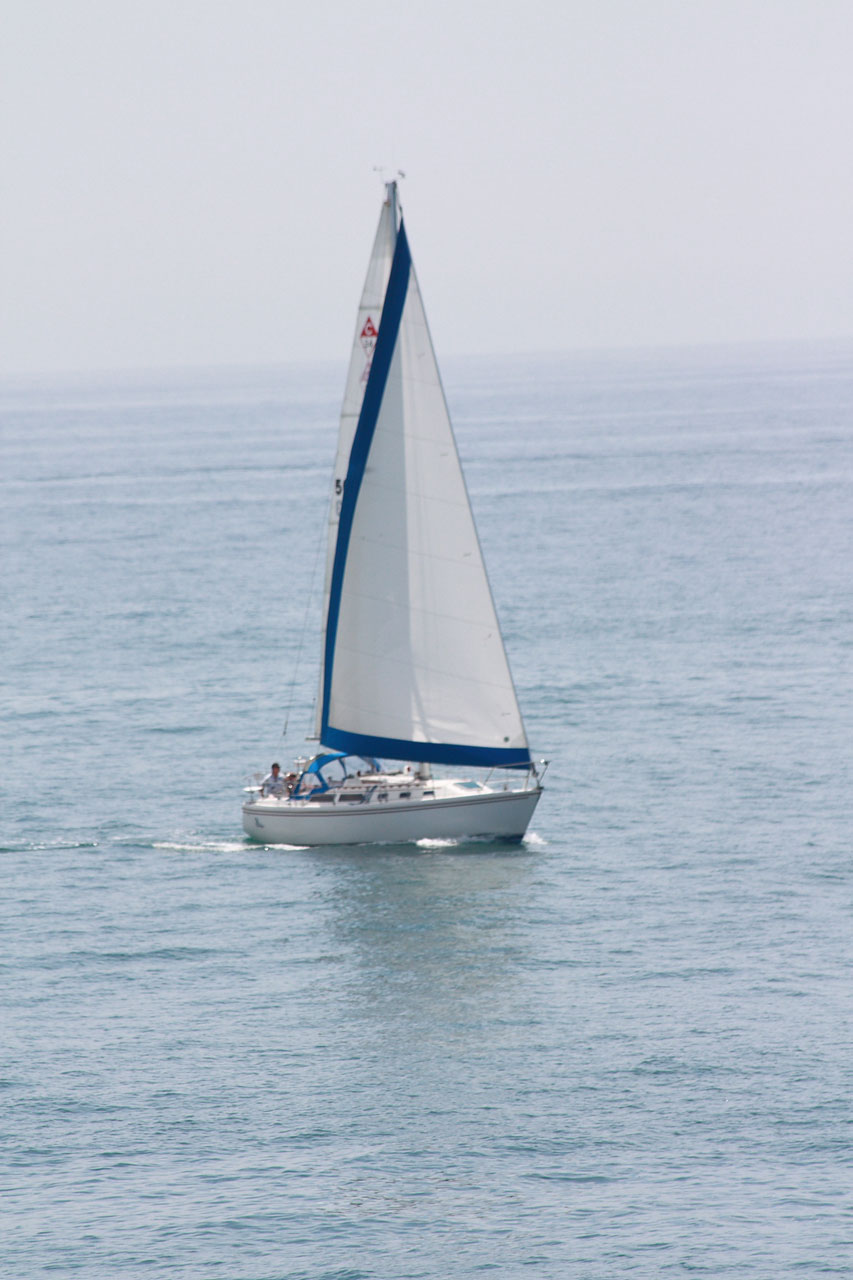 sailboat boat sail free photo