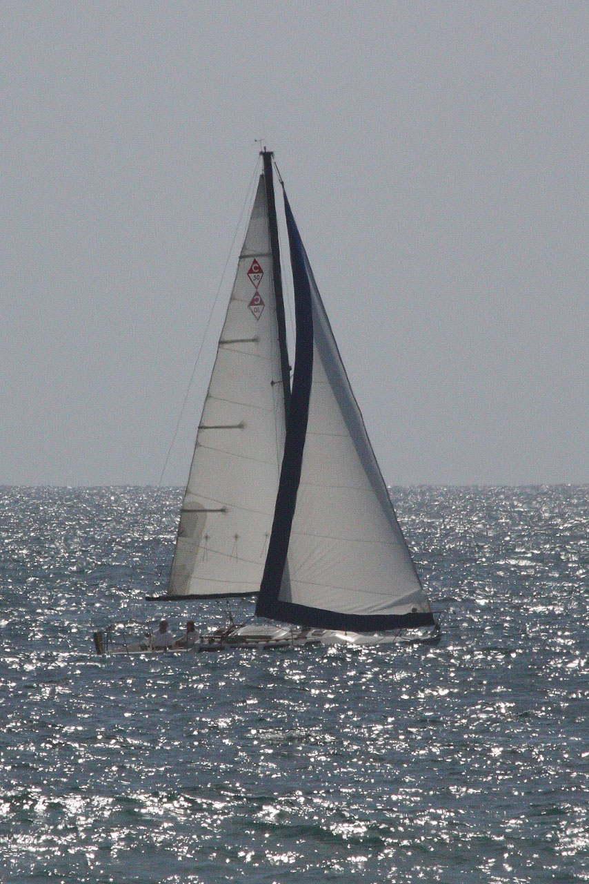 sloop sailboat boat free photo