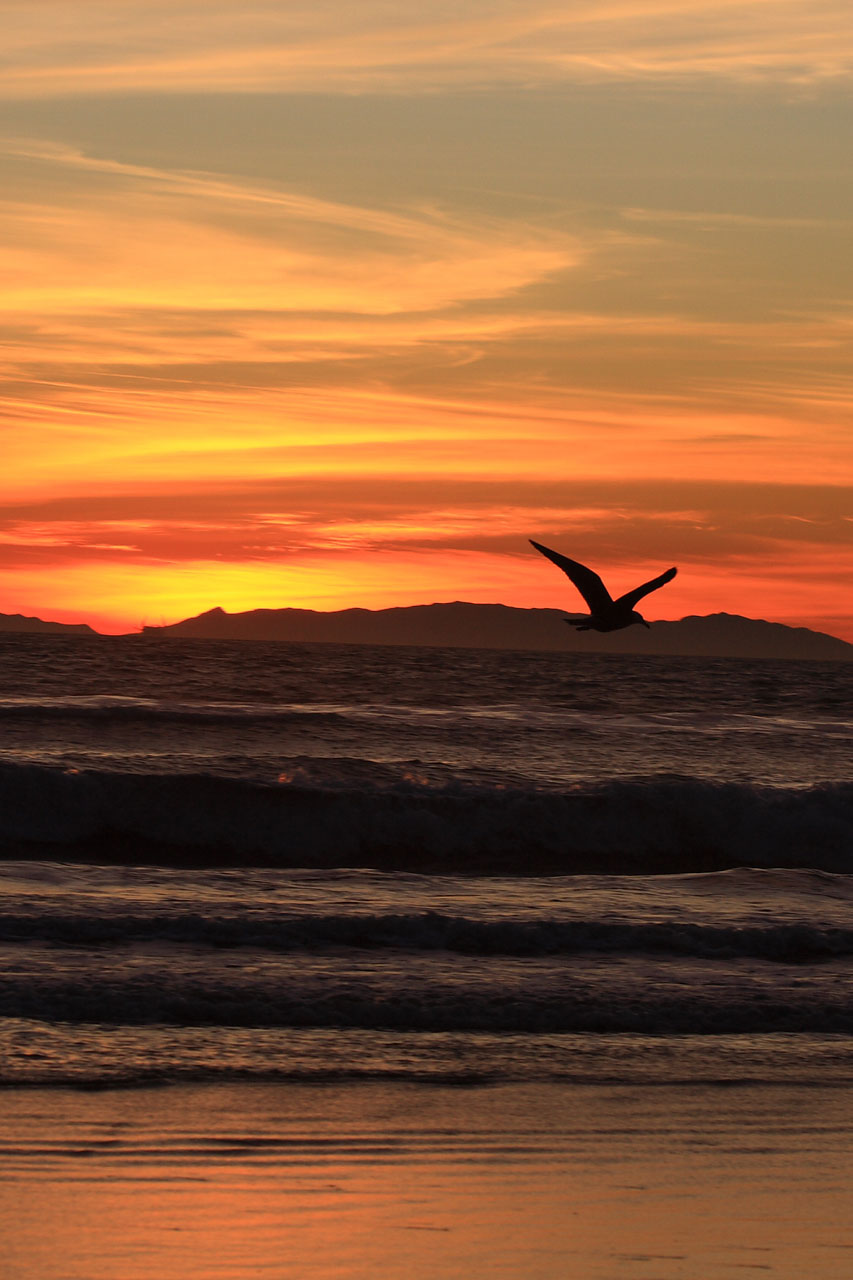 sunset california pacific free photo