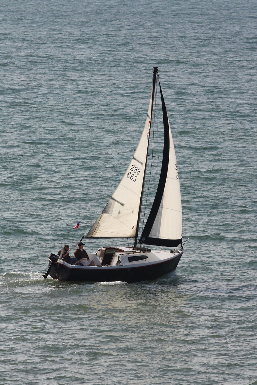 sloop sailboat boat free photo