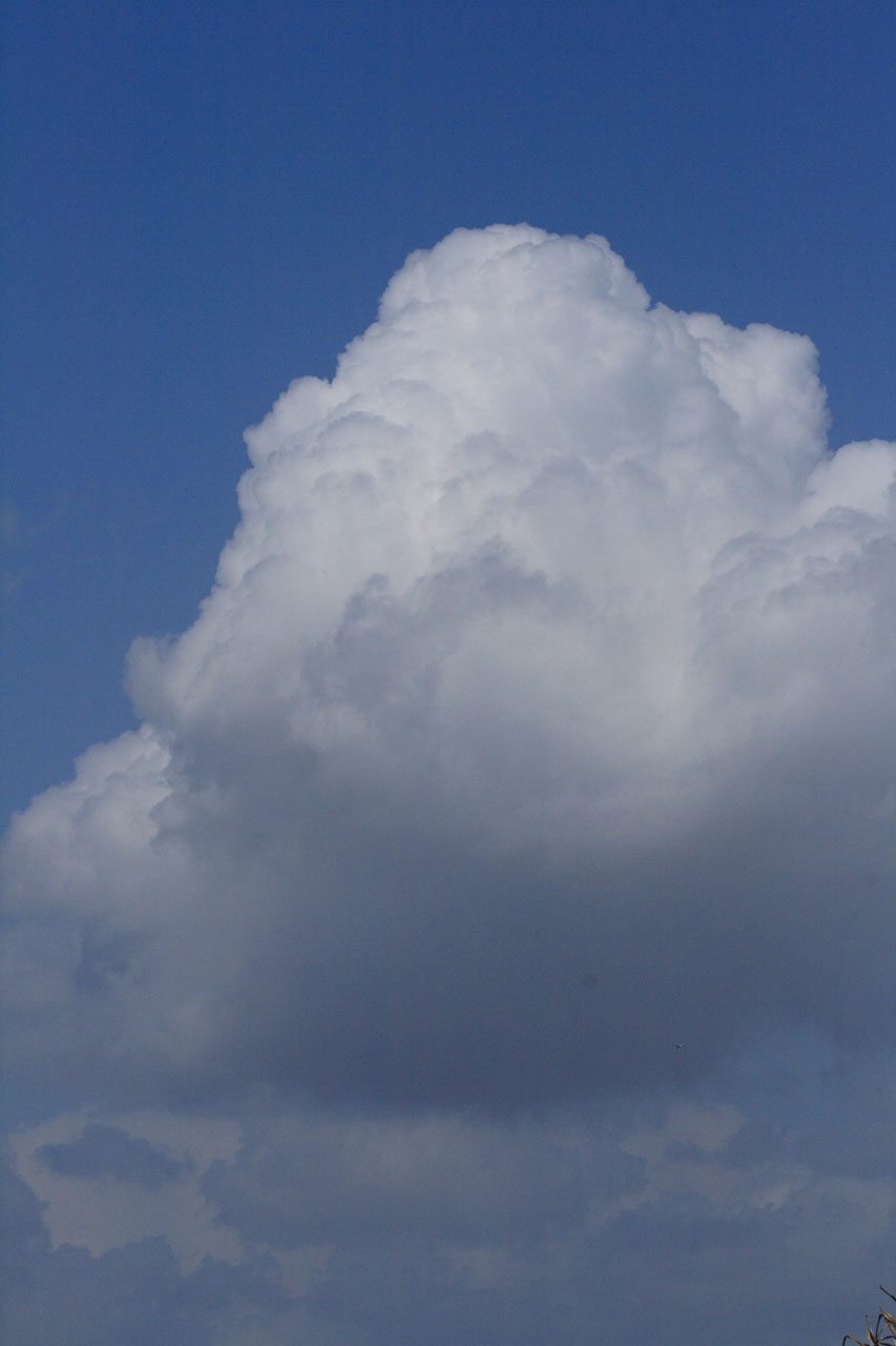 clouds sky cumulus free photo