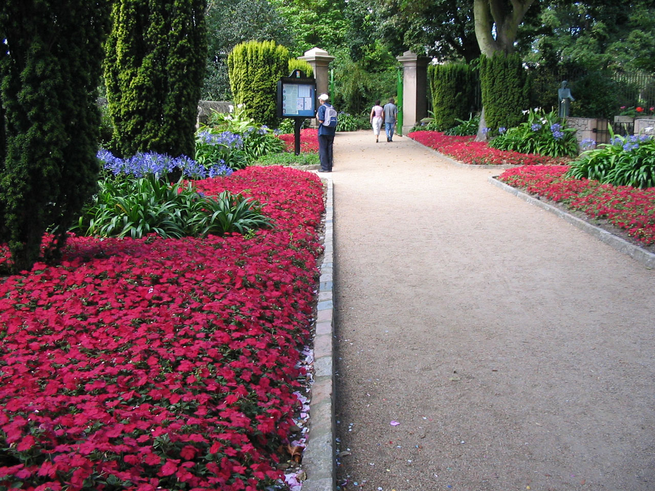 park flowers path free photo